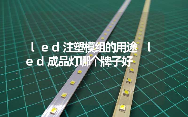 led注塑模组的用途 led成品灯哪个牌子好